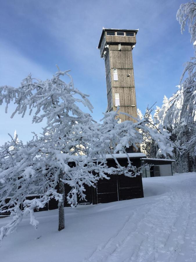 Am Duerrenbachtal Daire Klingenthal Dış mekan fotoğraf