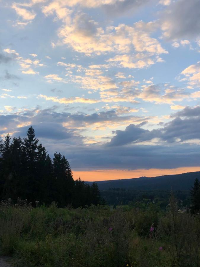Am Duerrenbachtal Daire Klingenthal Dış mekan fotoğraf
