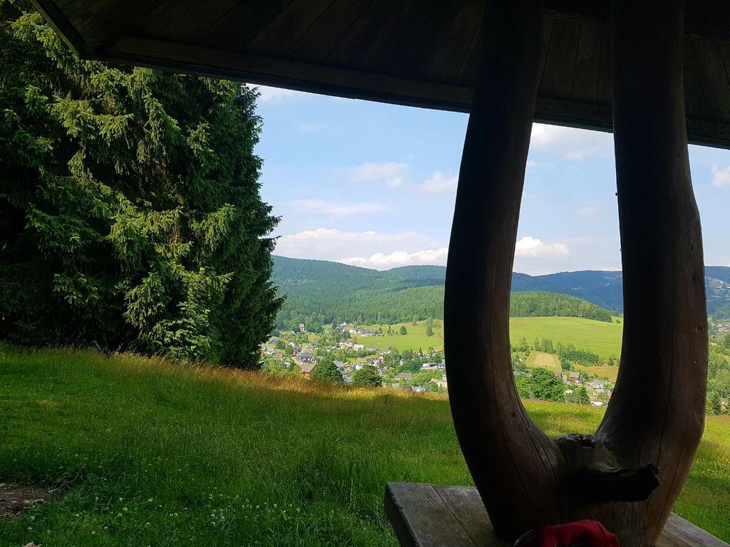 Am Duerrenbachtal Daire Klingenthal Dış mekan fotoğraf